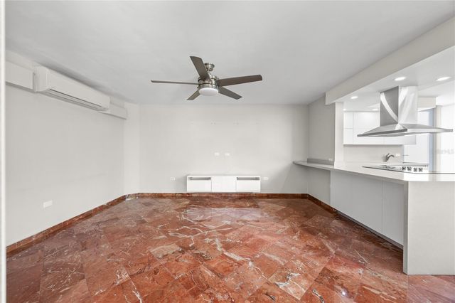 69 ROBLE, Guaynabo, PR 00966