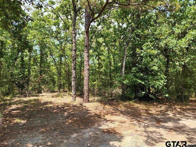 117 Little Acorn, Holly Lake Ranch, TX 75765