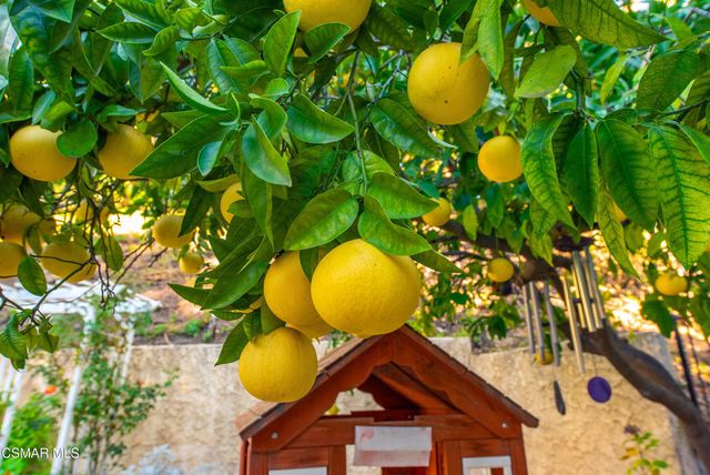 2810 Rikkard Drive, Thousand Oaks, CA 91362