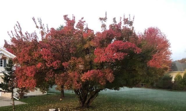 8701 Nelson Crossing, Verona, WI 53593