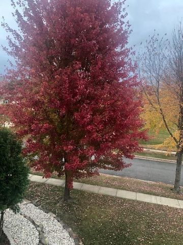 8701 Nelson Crossing, Verona, WI 53593