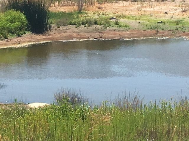 1388 Harris Ranch Rd, Potrero, CA 91963