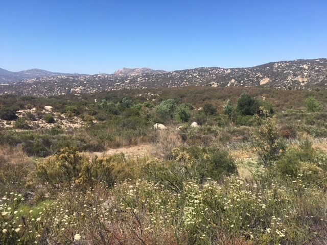 1388 Harris Ranch Rd, Potrero, CA 91963