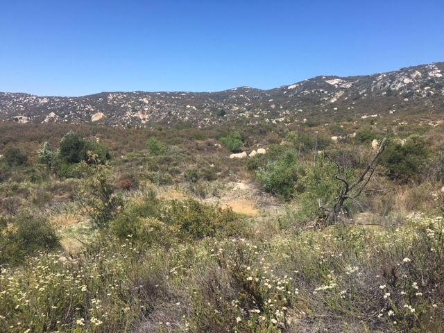 1388 Harris Ranch Rd, Potrero, CA 91963