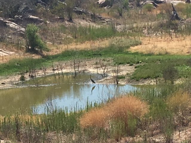 1388 Harris Ranch Rd, Potrero, CA 91963