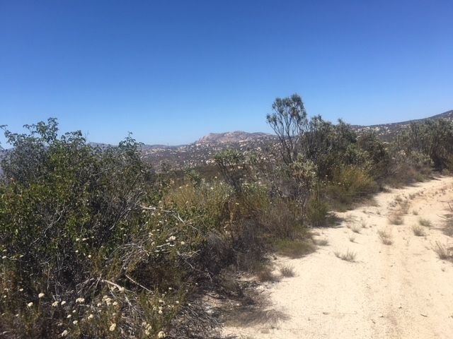 1388 Harris Ranch Rd, Potrero, CA 91963