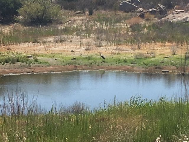 1388 Harris Ranch Rd, Potrero, CA 91963