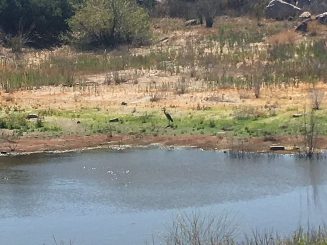 1388 Harris Ranch Rd, Potrero, CA 91963