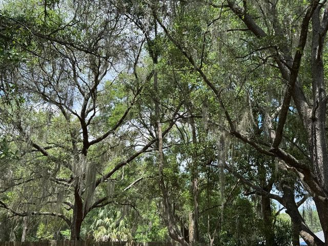 1639 SPRING LAKE ROAD, Fruitland Park, FL 34731
