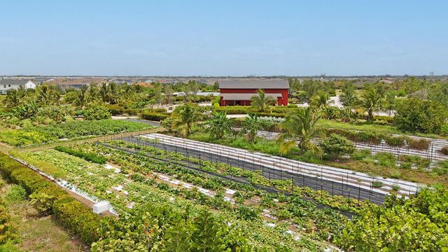 1333 Haywagon Trail, The Acreage, FL 33470