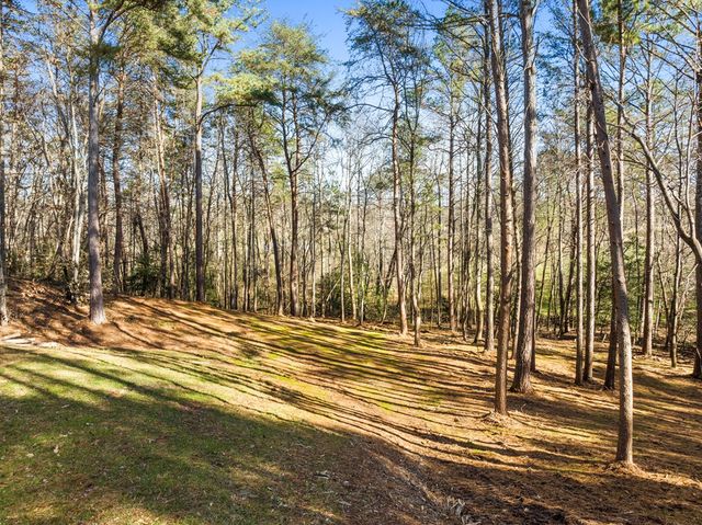 41 Brumby Trail, Ellijay, GA 30536