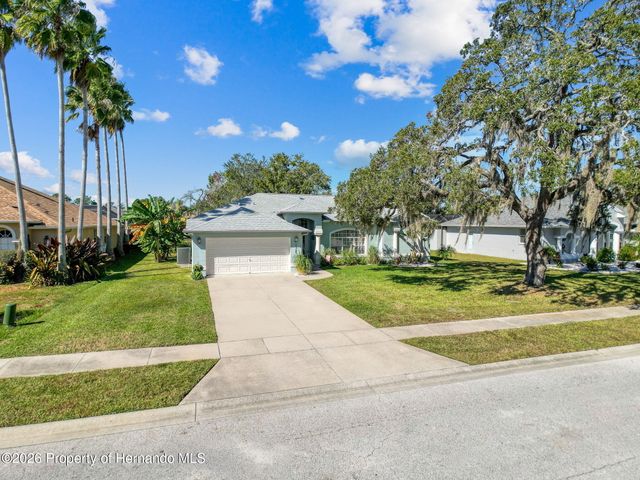 3365 Indian River Street, Spring Hill, FL 34609