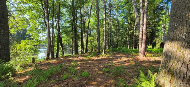 80 Beaver Brook Road, Yulan, NY 12764