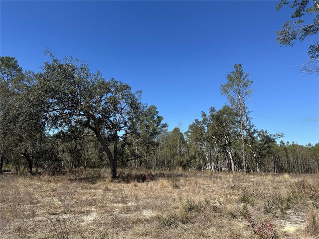 13183 HAVEN TRAIL, Weeki Wachee, FL 34614