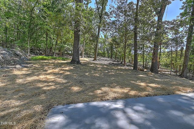 4407 Mitchell Road, Kingsport, TN 37664