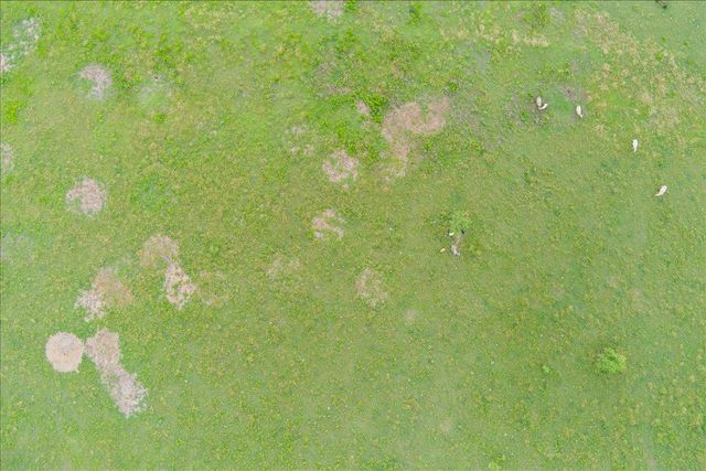 1700 CR 322, Bartlett, TX 76511