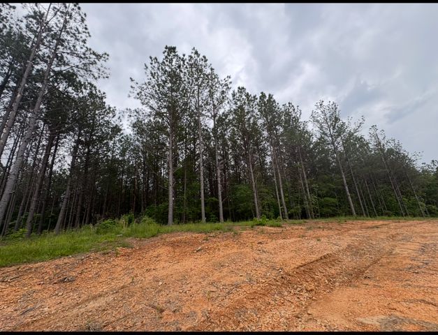 119 Auburn Dr, Hohenwald, TN 38462