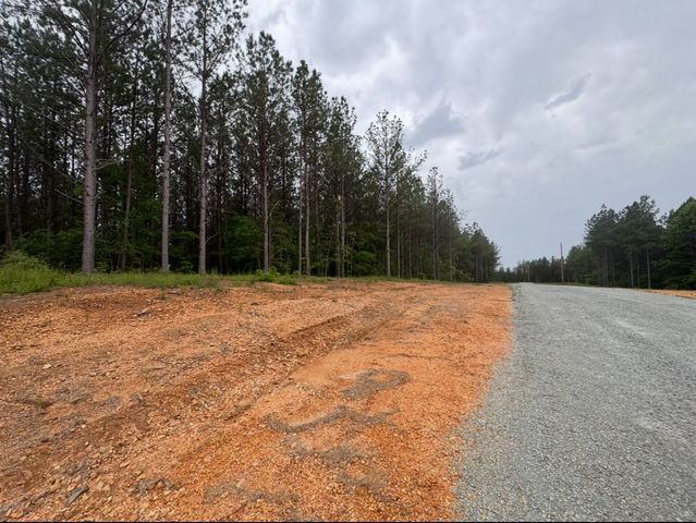 119 Auburn Dr, Hohenwald, TN 38462