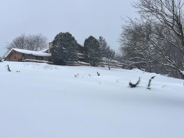 8903 Maidens Road, Bear Lake, MI 49614