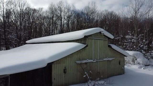 8903 Maidens Road, Bear Lake, MI 49614