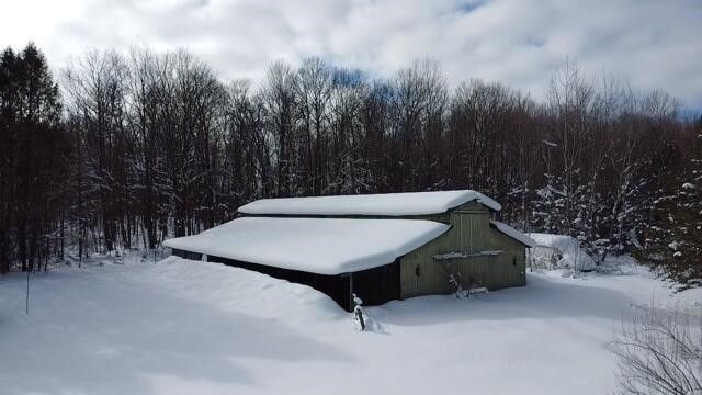 8903 Maidens Road, Bear Lake, MI 49614