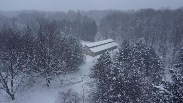 8903 Maidens Road, Bear Lake, MI 49614