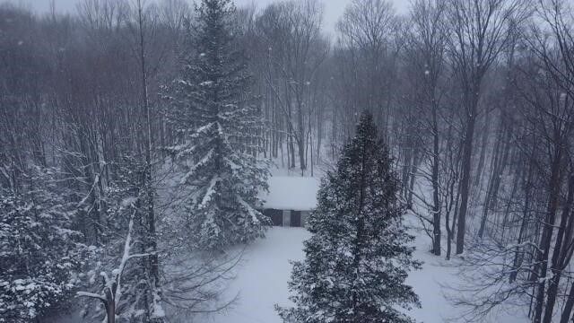 8903 Maidens Road, Bear Lake, MI 49614