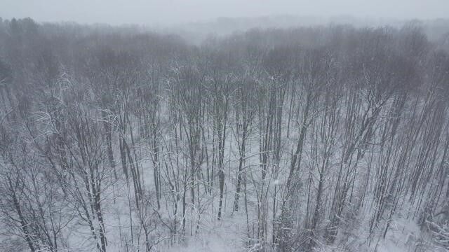 8903 Maidens Road, Bear Lake, MI 49614