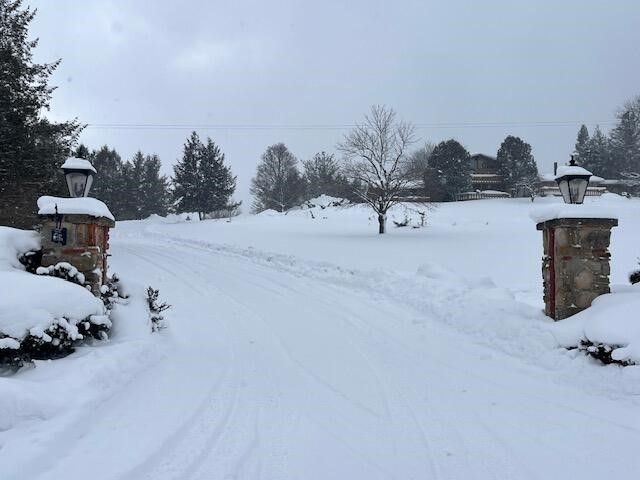 8903 Maidens Road, Bear Lake, MI 49614