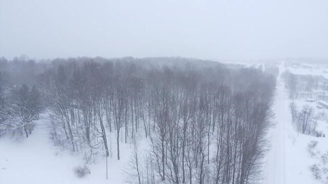 8903 Maidens Road, Bear Lake, MI 49614