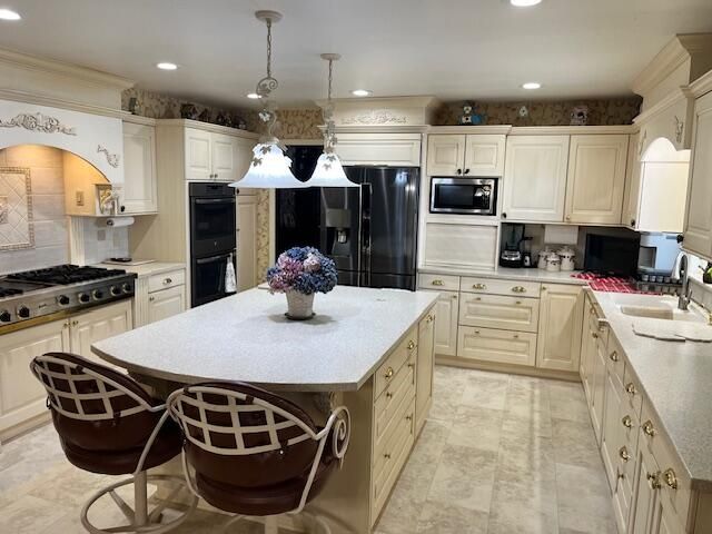 8903 Maidens Road, Bear Lake, MI 49614