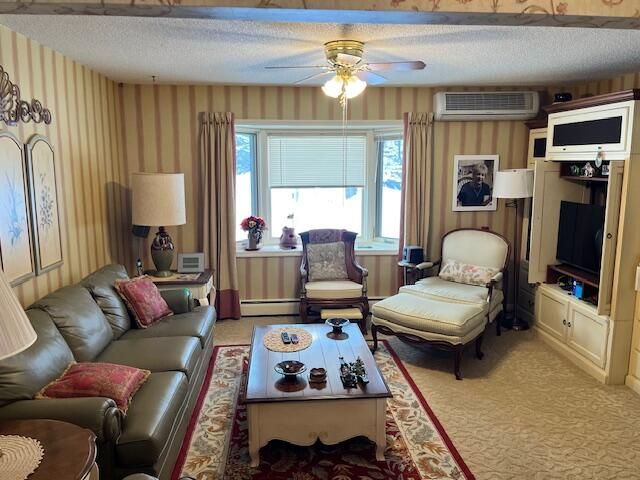 8903 Maidens Road, Bear Lake, MI 49614