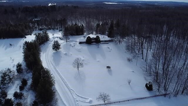 8903 Maidens Road, Bear Lake, MI 49614