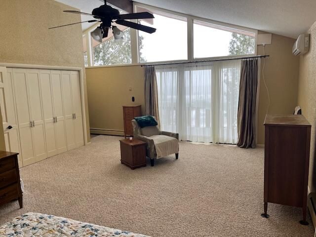 8903 Maidens Road, Bear Lake, MI 49614