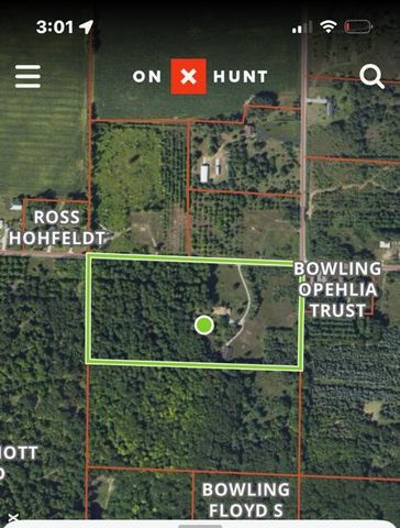 8903 Maidens Road, Bear Lake, MI 49614