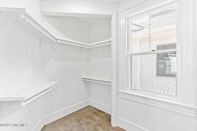 505 S 3rd Street, Wilmington, NC 28401