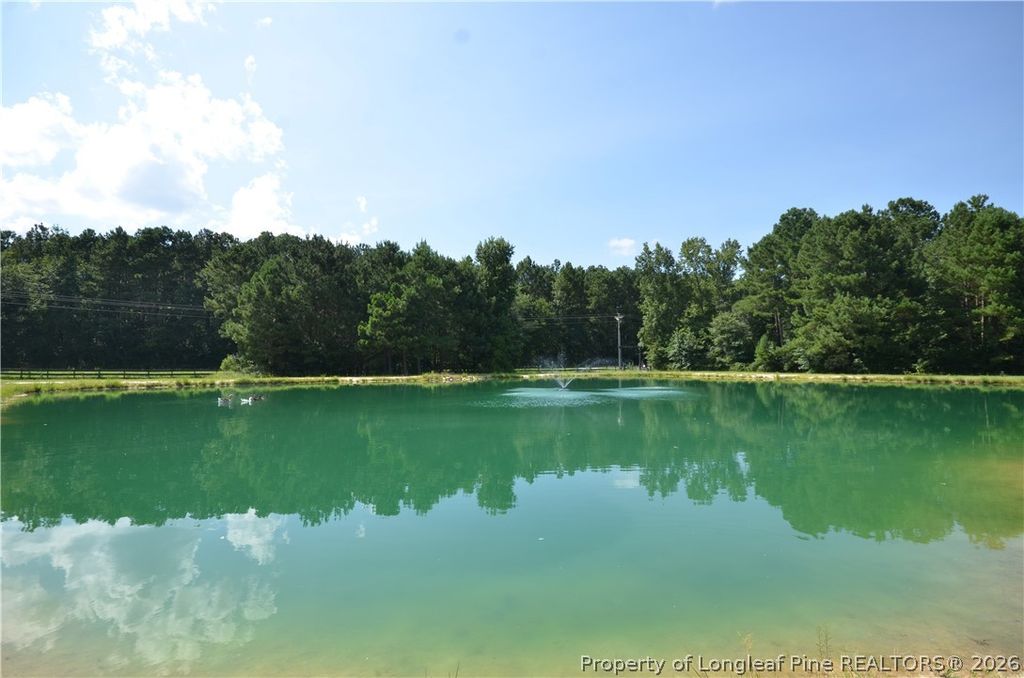 1865 John B Carter Road, Fayetteville, NC 28312 — photo 43
