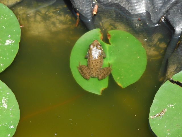 1870 Kassuba Road, Gaylord, MI 49735