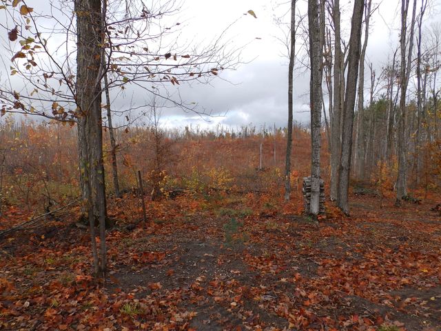 1870 Kassuba Road, Gaylord, MI 49735