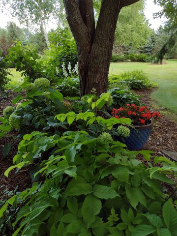 3680 Arlington Lane SE, Rochester, MN 55904