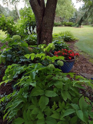 3680 Arlington Lane SE, Rochester, MN 55904