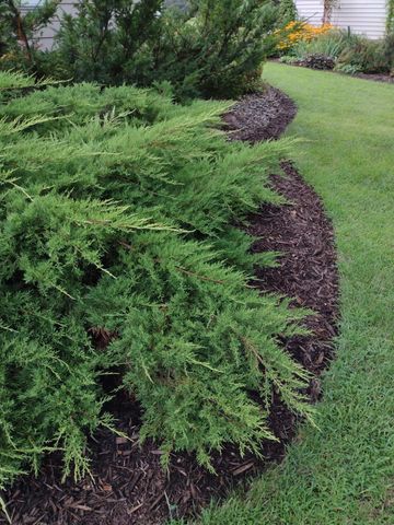 3680 Arlington Lane SE, Rochester, MN 55904