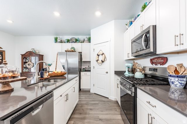 1219 S RAINTREE LN, Santaquin, UT 84655