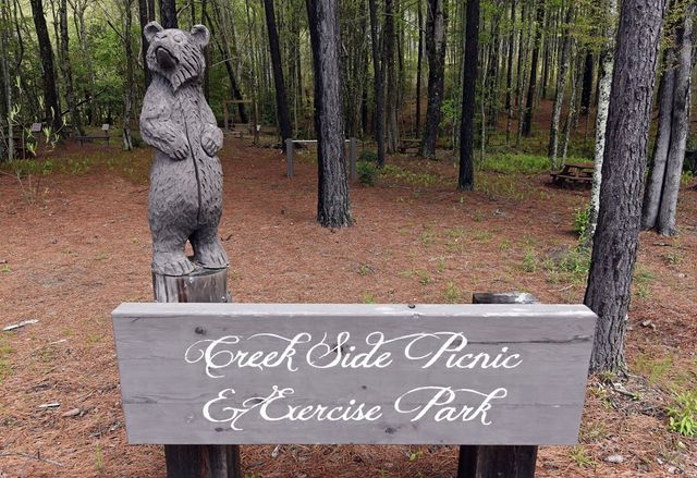 Lot 72 Thirteen Hundred, Blairsville, GA 30512