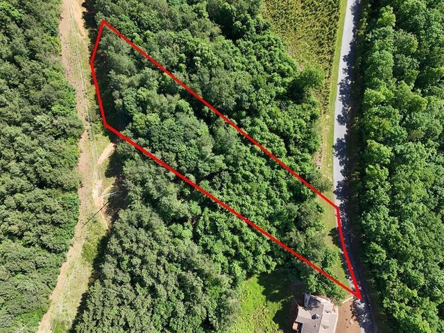 Lot 72 Thirteen Hundred, Blairsville, GA 30512