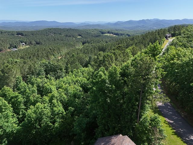 Lot 72 Thirteen Hundred, Blairsville, GA 30512