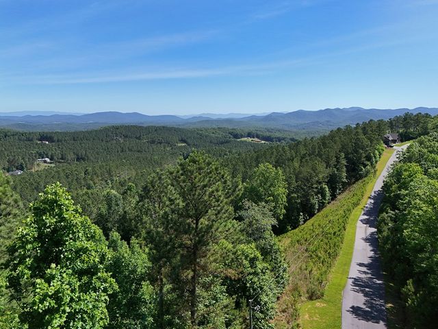 Lot 72 Thirteen Hundred, Blairsville, GA 30512