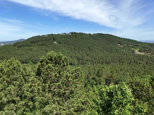 Lot 72 Thirteen Hundred, Blairsville, GA 30512