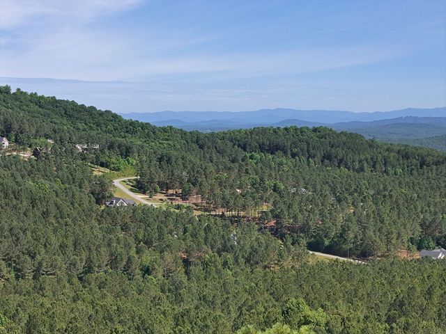 Lot 72 Thirteen Hundred, Blairsville, GA 30512