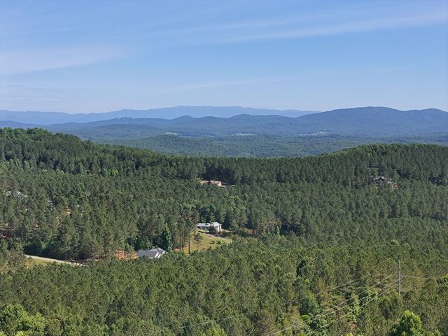 Lot 72 Thirteen Hundred, Blairsville, GA 30512